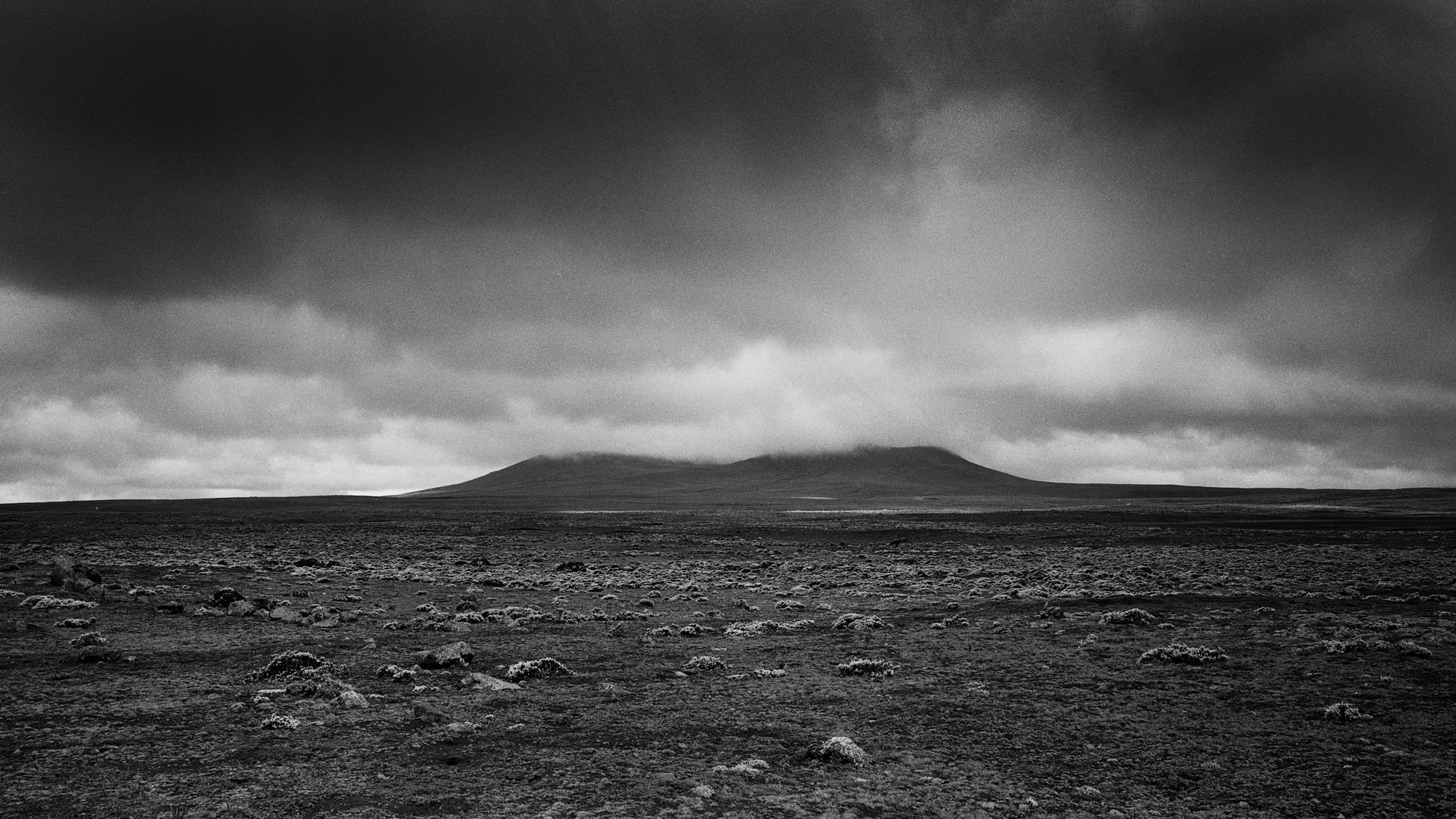 Black & white film photograph by Corey Hart shot on ILFORD HP5+ Sanetti Plateau 02