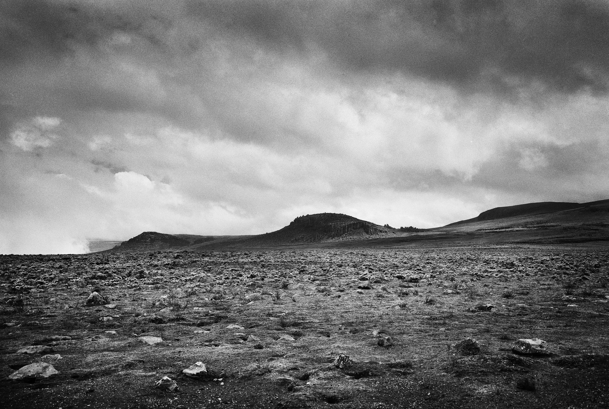 Black & white film photograph by Corey Hart shot on ILFORD HP5+ Sanetti Plateau 04