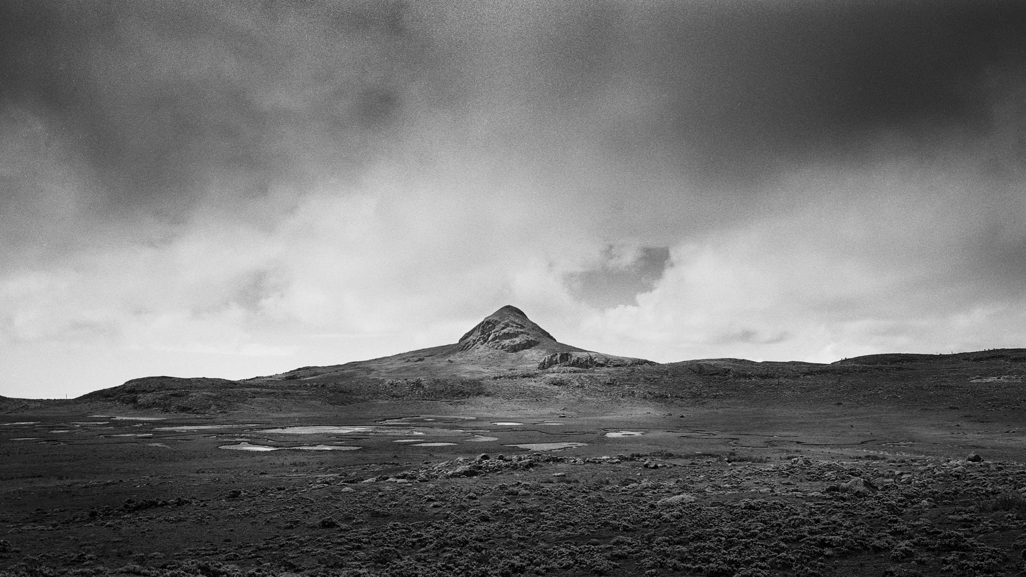 Black & white film photograph by Corey Hart shot on ILFORD HP5+ Sanetti Plateau 07