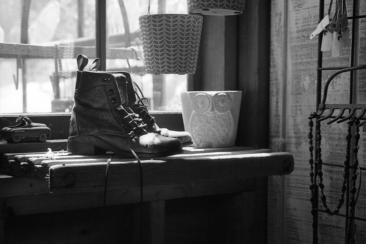 @BackEastPhoto Jul 3 Hootlet More The light in this old barn made me happy! @ILFORDPhoto Delta 100 / XTOL (1:1) / Canon AV-1 / FDn 50mm macro #ilfordphoto #fridayfavourites #happyfilm #believeinfilm