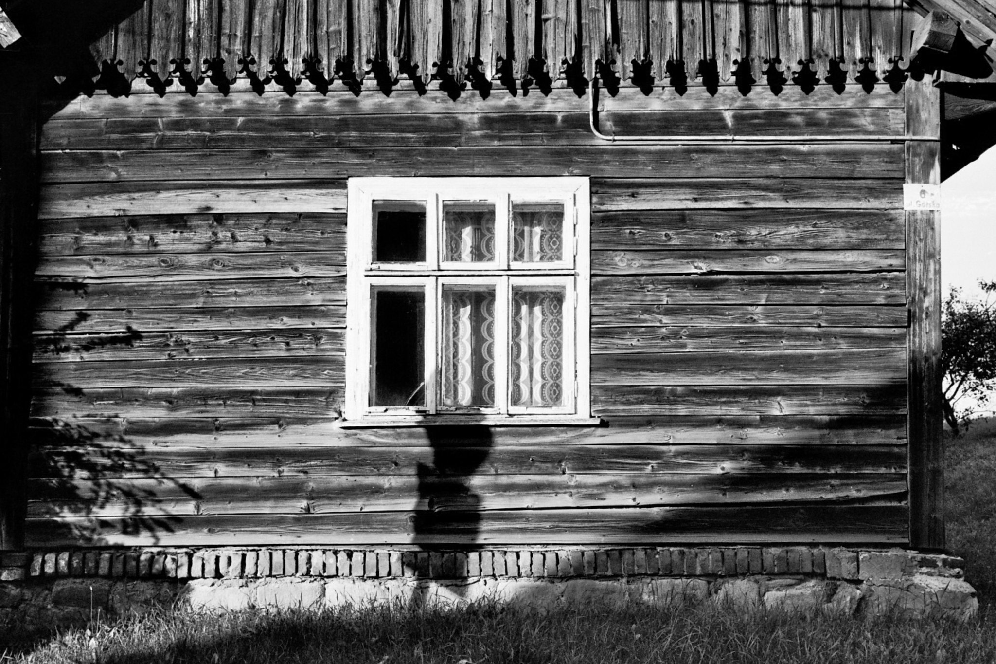 @rrrodrigo · Sep 2 The Window ? Voigtländer Bessa R3M + Nokton MC 40/1.4 ? @ILFORDPhoto #ilfordxp2super #ilfordxp #ilfordphoto #fridayfavourites #analogphotography #ishootfilm