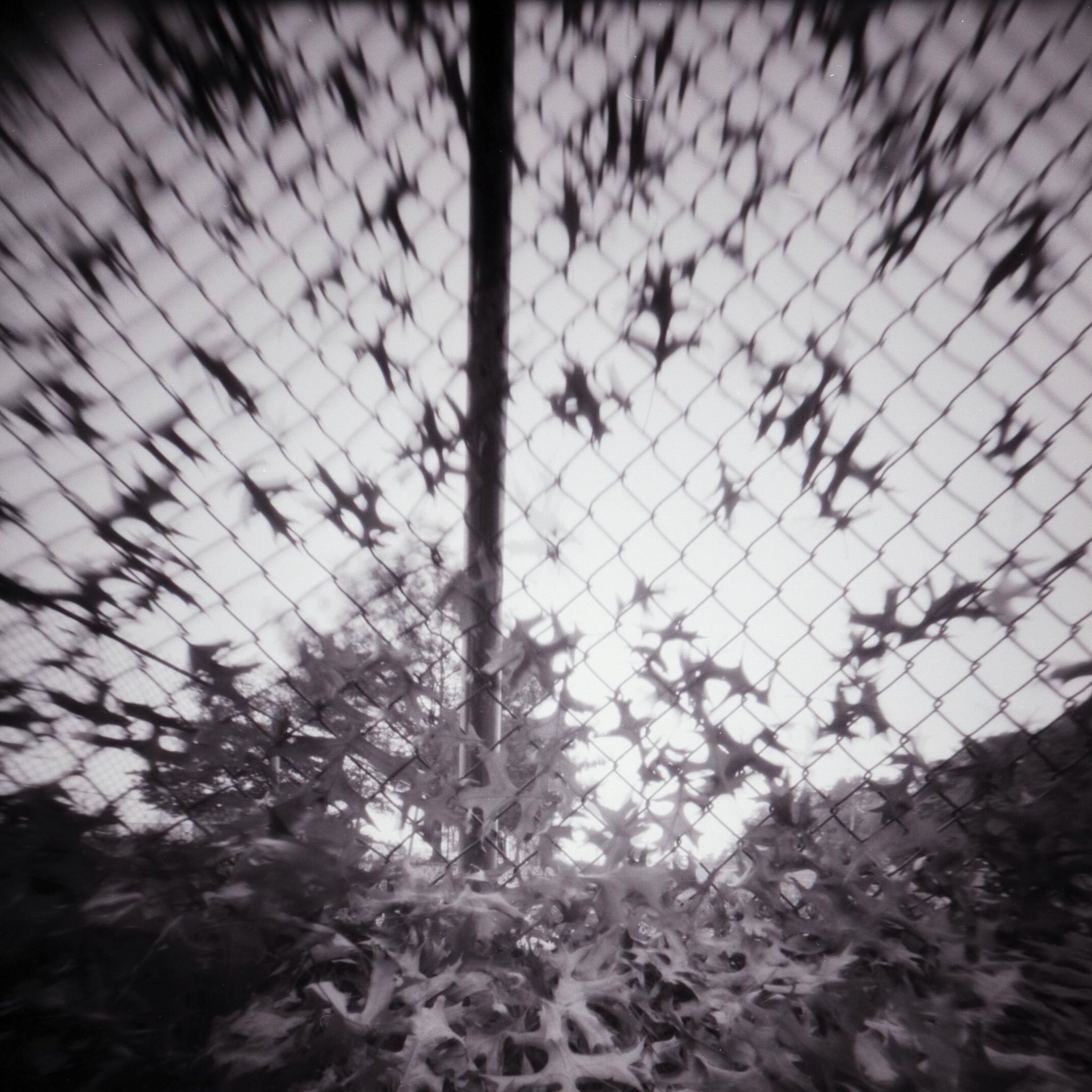 @DrMarsRover · Oct 3 . @ILFORDPhoto Delta 100 RSS 6x6 #pinhole #ilfordphoto #fridayfavourites #patterns