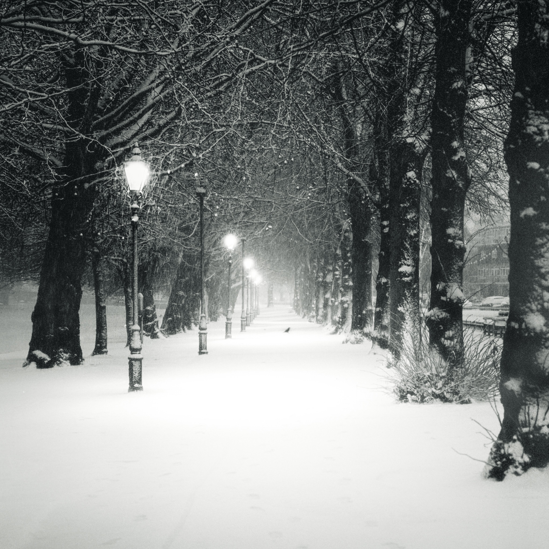 @winterrosephoto · Nov 28 Winter in Bedford, shot #ilfordphoto Delta 3200 for this weeks #fridayfavourites #blackandwhitexmas