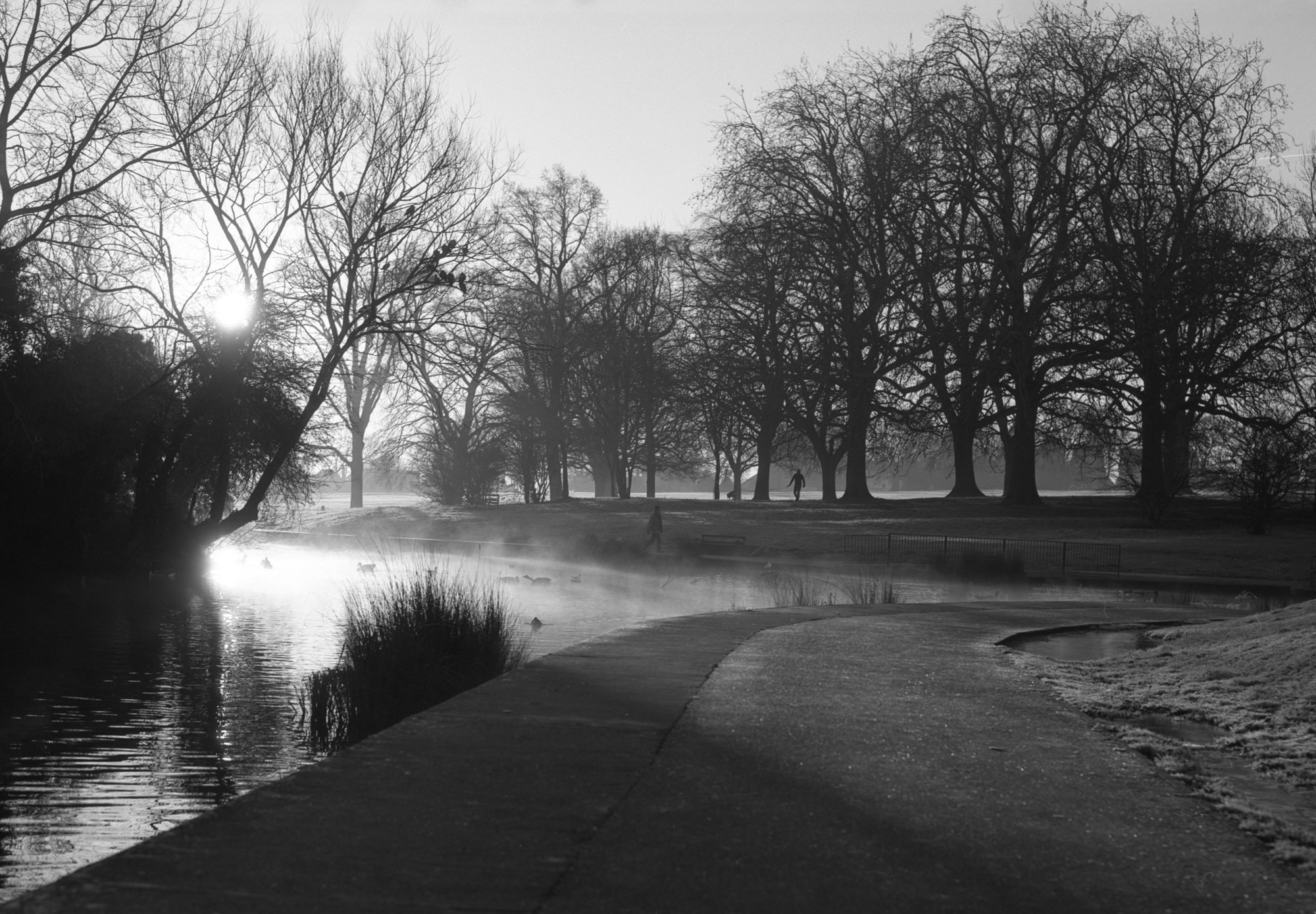 @atlantean526 · 3h Replying to @ILFORDPhoto @SkearsPhoto and 6 others Smoke on the water. A cold, frosty Sunday morning in Abington Park, Northampton. 19.1.2020 @SkearsPhoto 6x7 rangefinder/ 100mm f3.5 Mamiya Press lens. 1/60th sec/ f11 @ILFORDPhoto Ortho 80 plus Dev. ID-11 #ilfordphoto #fridayfavourites #shotin2020