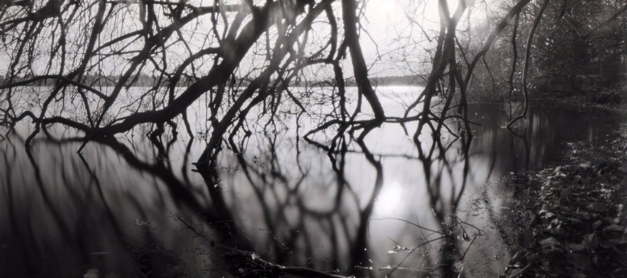 @DrMarsRover · 1m I ? film + pinhole! @ILFORDPhoto Delta 100 RSS 6x12 #pinhole #ilfordphoto #fridayfavourites #lovefilm