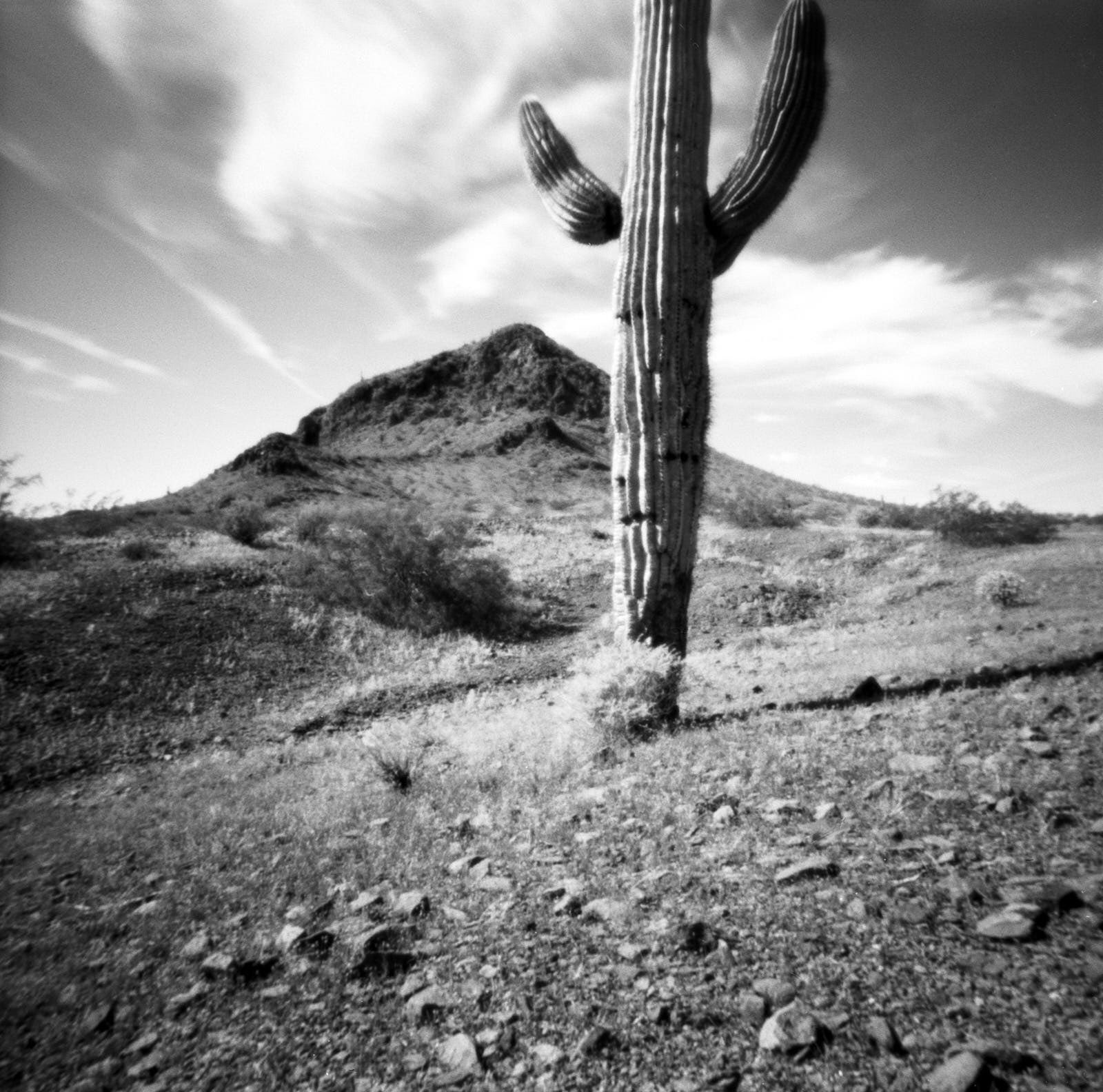 Jay Freeman @JF41180 Repost for #ilfordphoto #fridayfavourites #squareshots ⁦ @ONDUpinhole ⁩ and Ortho Plus. #believeinfilm #filmphotography #pinhole