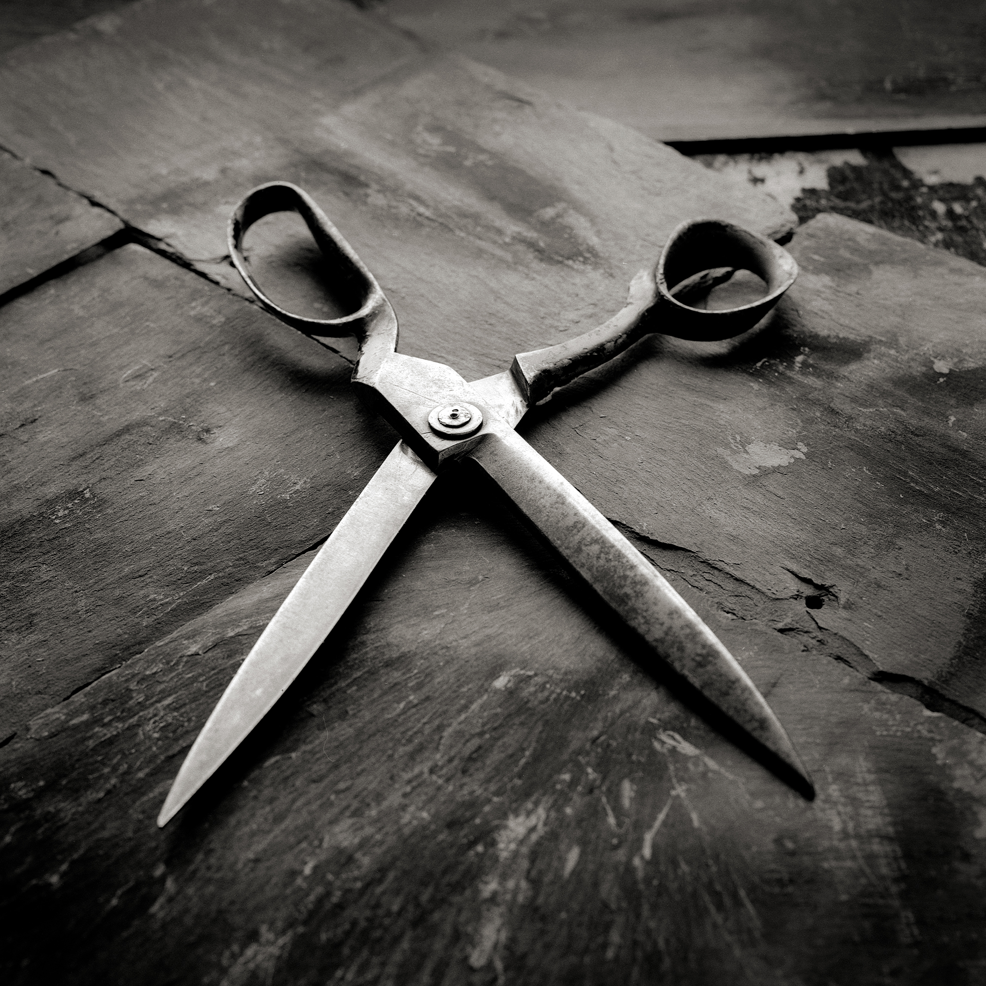 @DavidAustinMc Replying to @ILFORDPhoto Scissors. Still life with natural daylight from a window and white card as a reflector. Mamiya C330 using Ilford Delta 100 film and developed in Perceptol. #ilfordphoto #squareshots #fridayfavourites