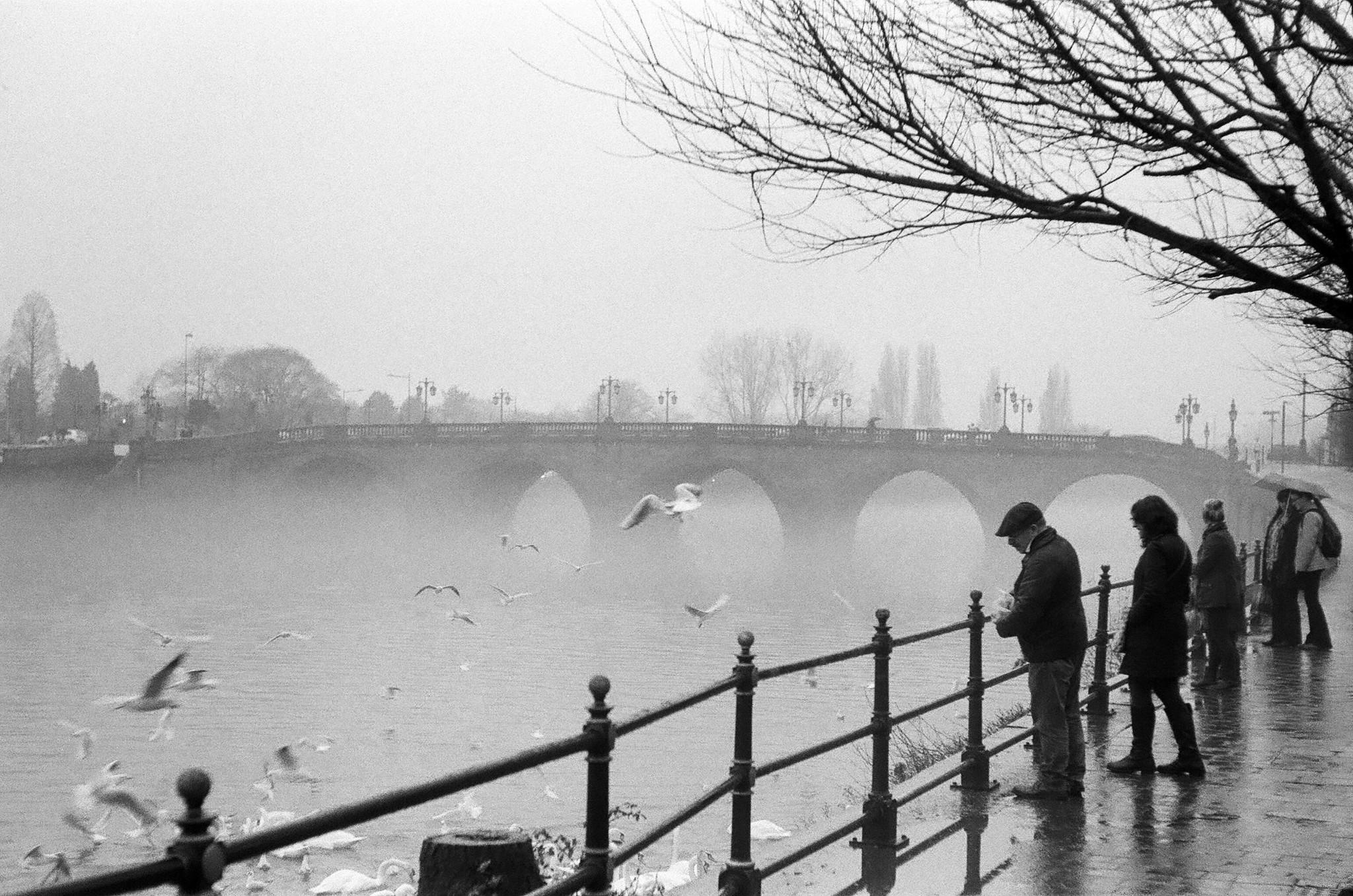 Image by Hamish Gill shot on HP5+ black and white film