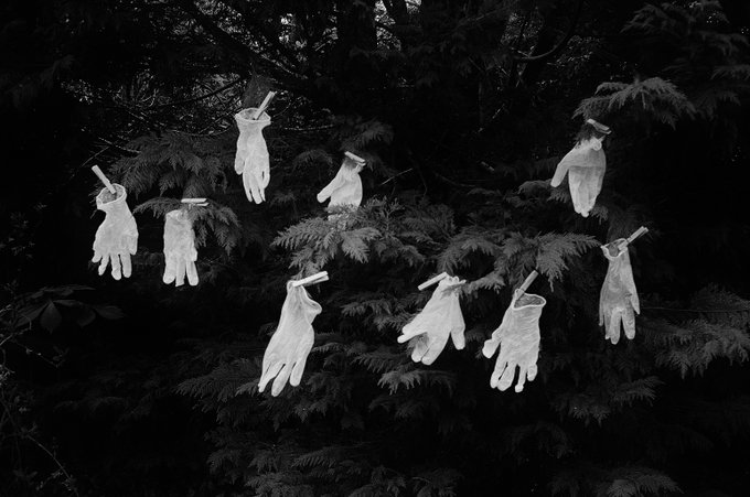 @WellerMonica 'You Need Hands' by Max Bygraves. I took this in our garden in our 10 week c/v http://lockdown.No walks, nothing. I tried to sum up covid19's effect on us. These protective gloves did it. IlfordXP2 Olympus Trip #ilfordphoto #fridayfavourites #lyricsandfilm @AgPhotographic