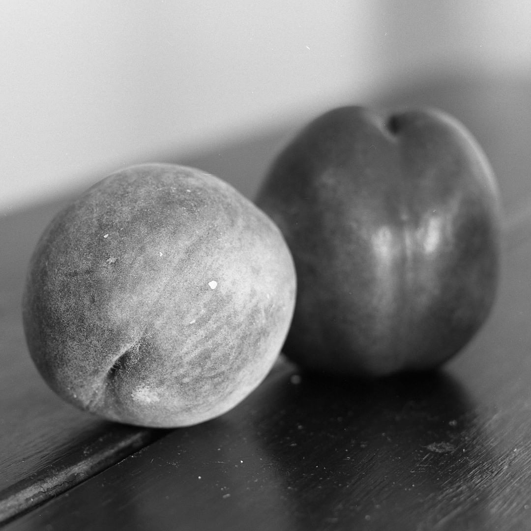 samduncan156 A peach and a nectarine on Ilford Ortho. #ilfordortho #fridayfavourites #specialistfilm #parallaxshootsilfordortho80 #homedevelopedfilm #ilfotecddx #stilllife #mamiyarb67 #mediumformatfilm #bnwfilmphotography