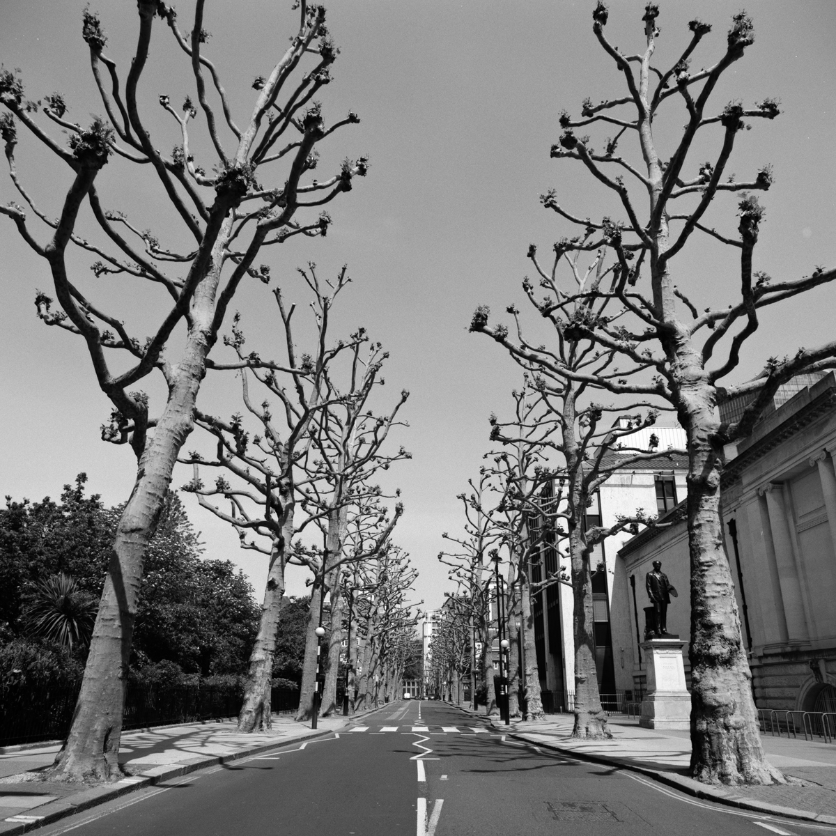 Lockdown London Images @lckdldn shot on ILFORD black and hite film by Giacomo Mantovani