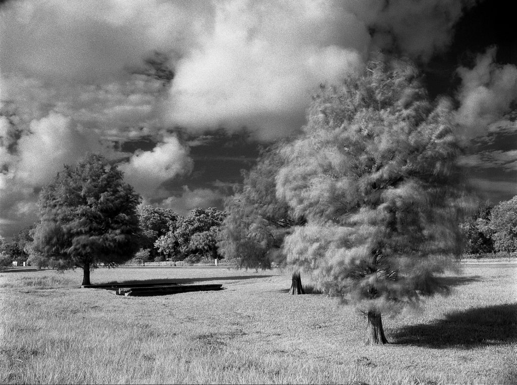 Shooting Infared and extended red film A guide Ilford Photo