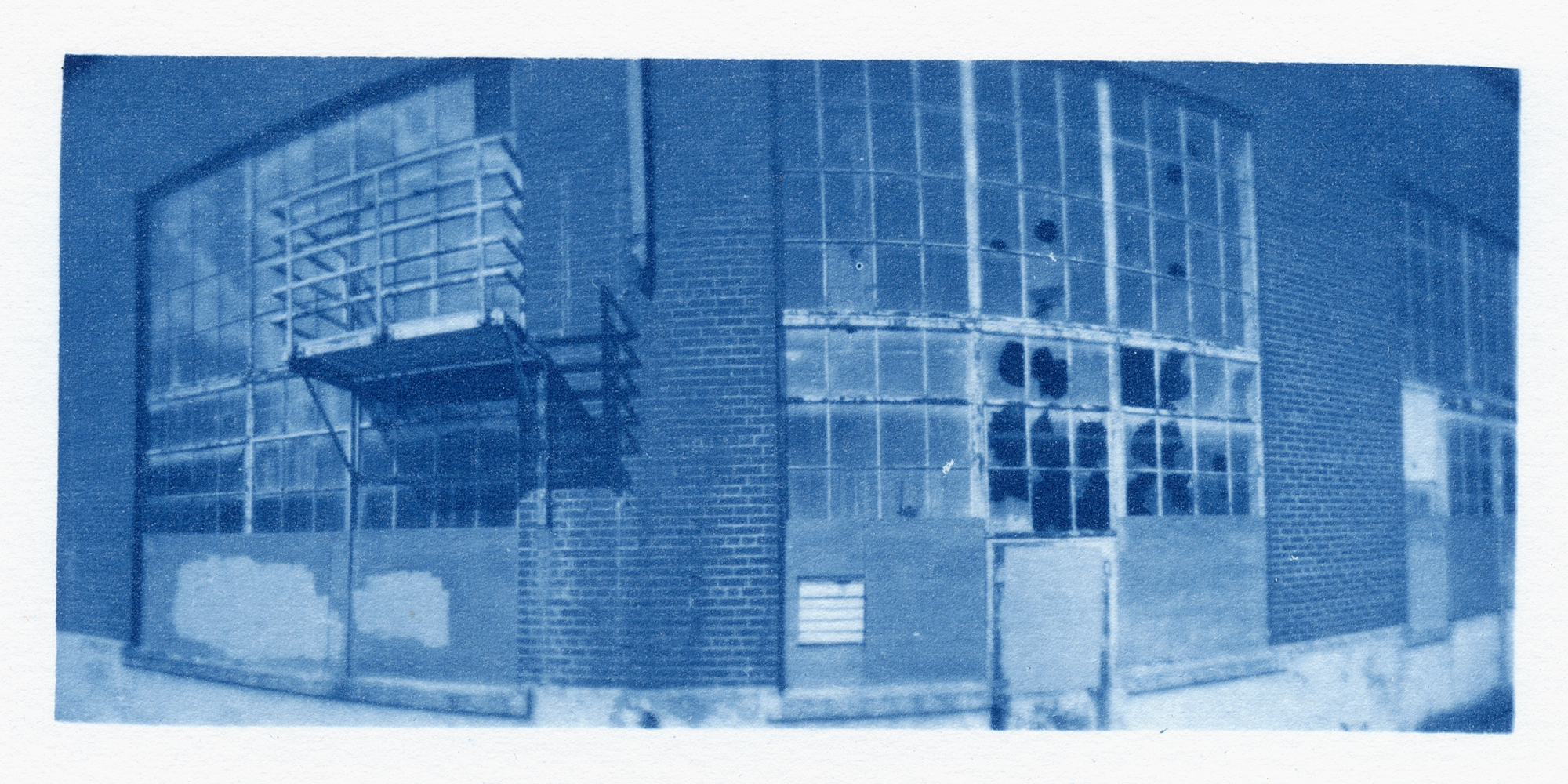 cyanotype from orthos plus negative