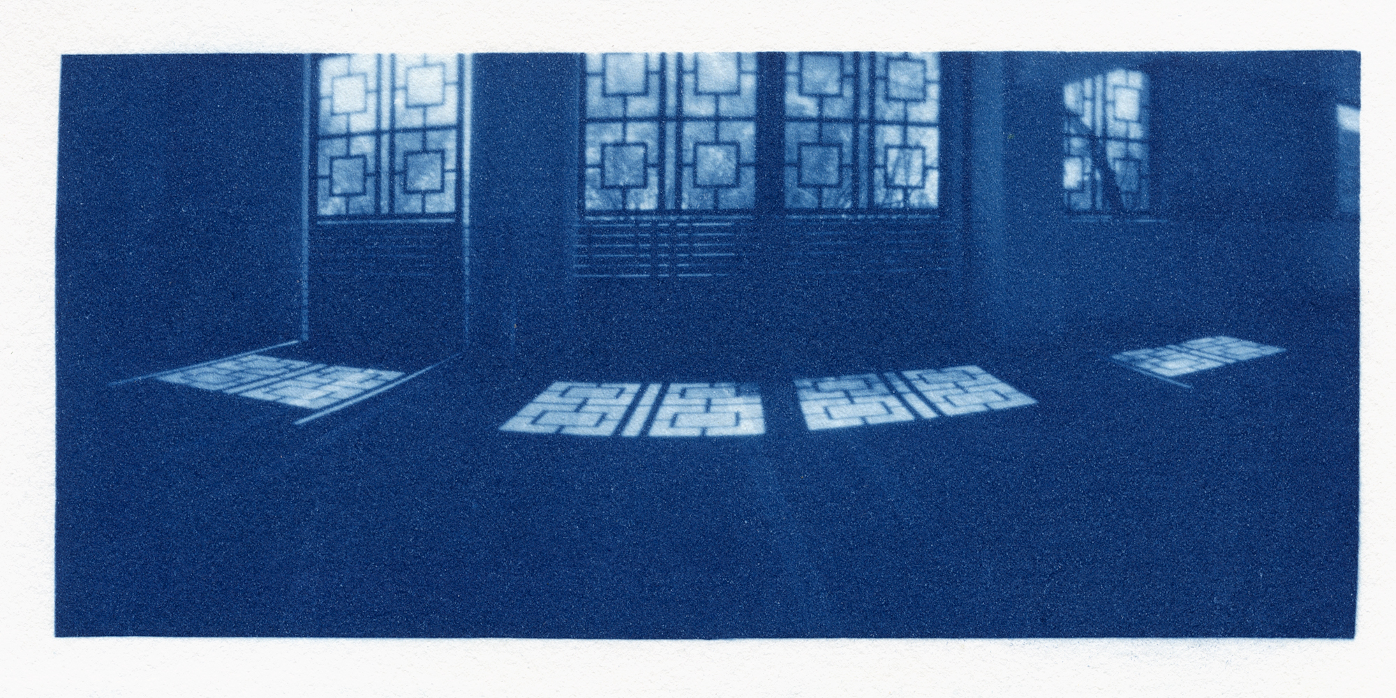 cyanotype from orthos plus negative