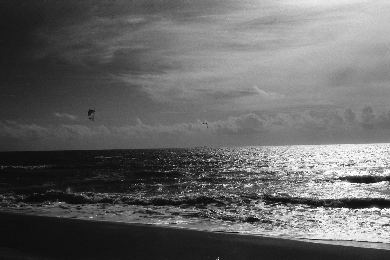 @johbeil Leica R4 with Summilux-R and black filter on Ilford SFX 200 #ilfordphoto #shotonsfx #infrared #Leica #Fregene #beach #bnw