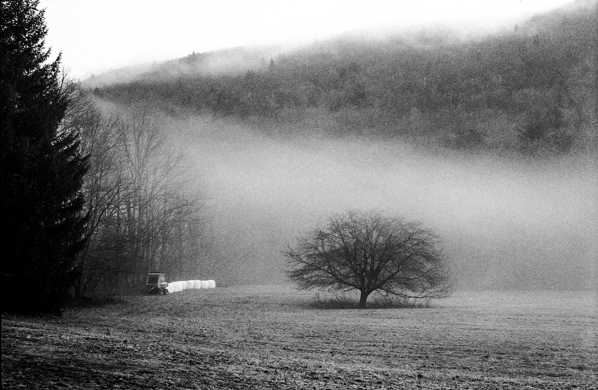 MorningFogontheFarm_NewYork_IlfordHP5_LeicaM6