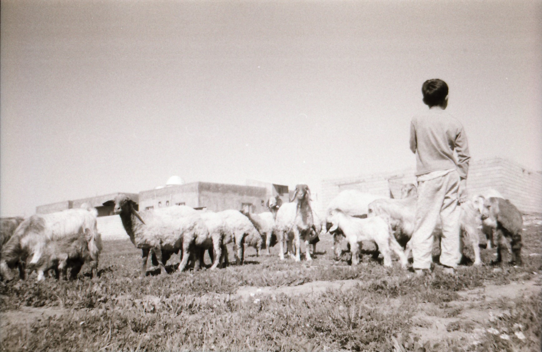 My friend daily life - photo by Ibrahim he is 12 years old - ilford pan 100