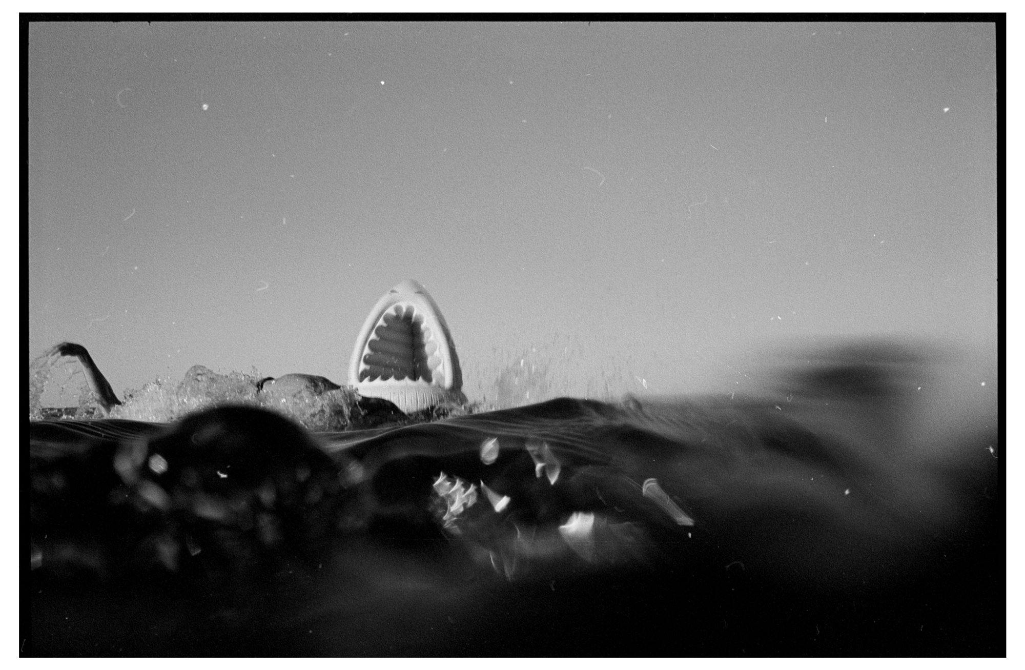 Shark by Brett Hillyard on ILFORD black and white HP5+ Film