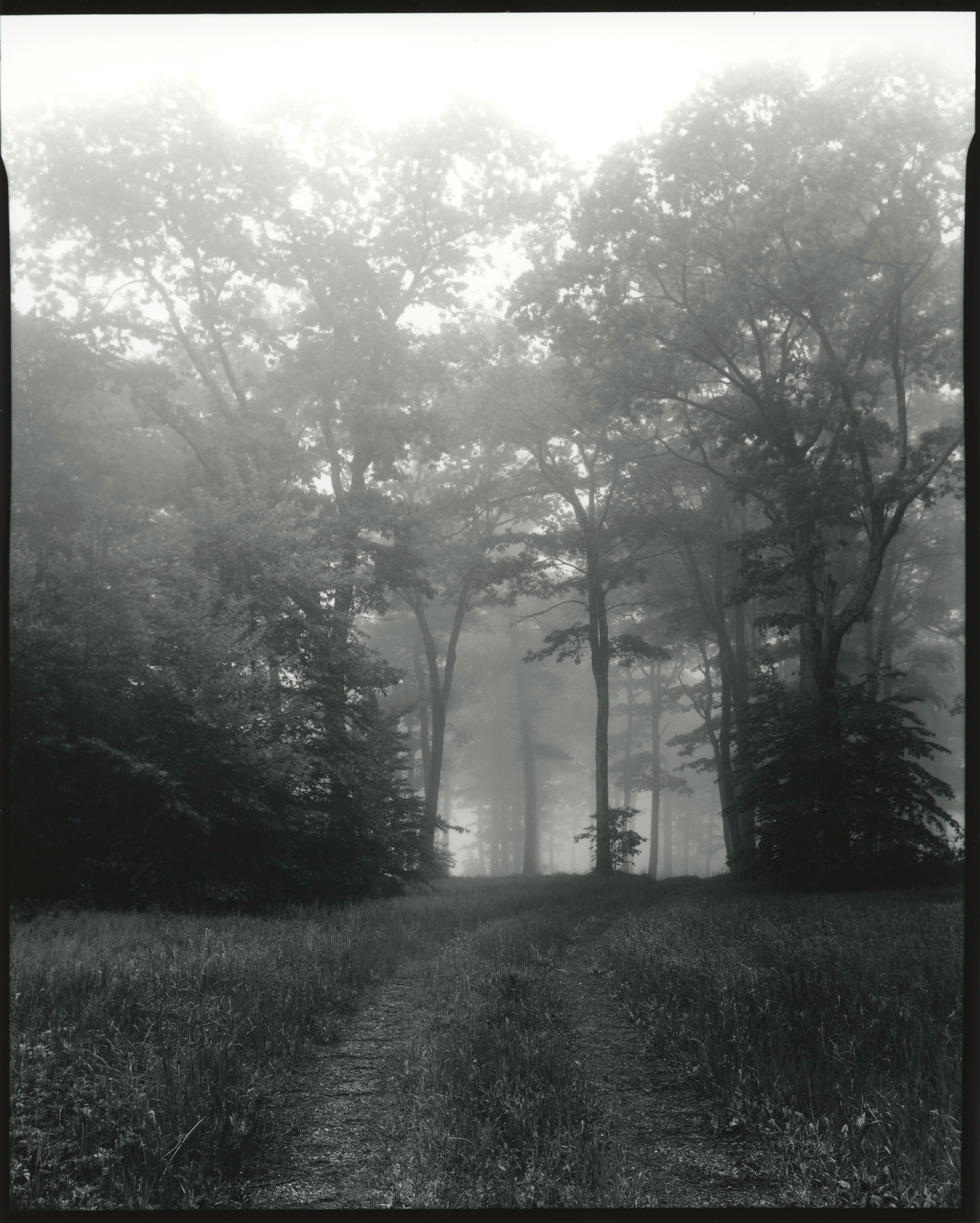 Part1_HarveyMountain_NewYork_8x10_SilverGelatinContactPrint_ILFORD_FP4_on_IlfordFBClassicGloss