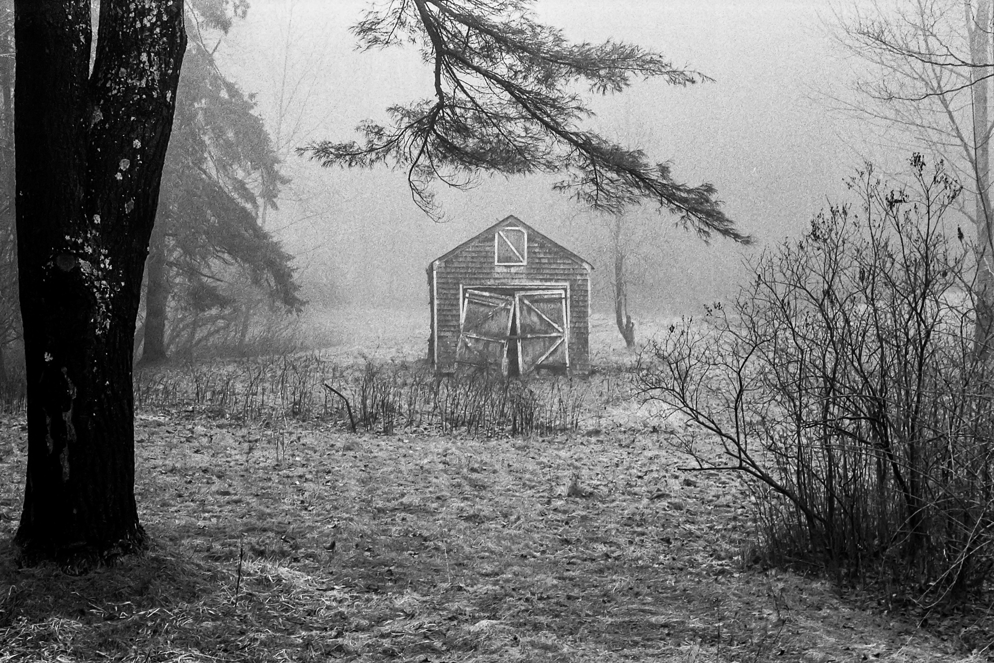 Route203WellHouse_NewYork_IlfordHP5_LeicaM6