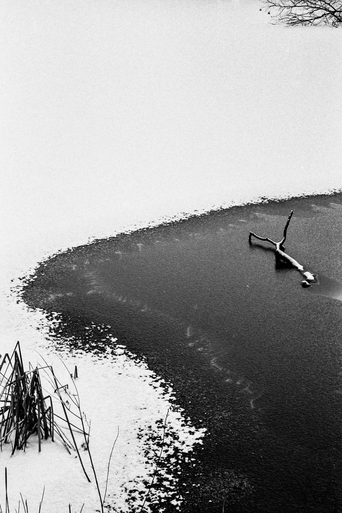 WinterPond_NewYork_IlfordHP5_LeicaM6