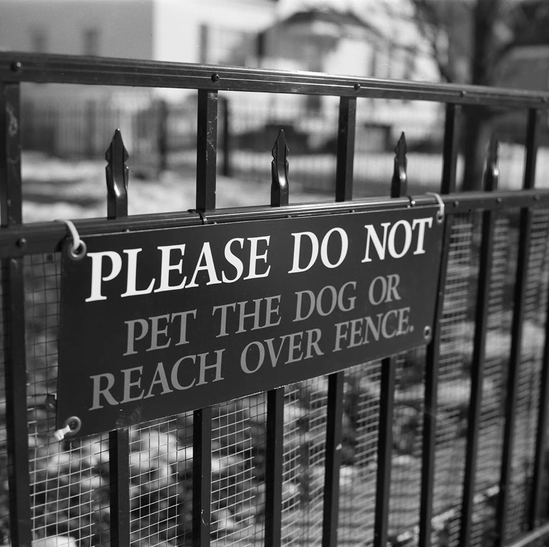 d_atk "Signs" shot on Ilford HP5+ sheet film with a Polaroid 110A camera. The mean sign is not far from my home in Tonawanda, NY. The cool signs were taken in Alexandria, VA. #shotonsheet #ilfordphoto #fridayfavourites #shootfilmbenice #allthroughalens #sunny16podcast 9h