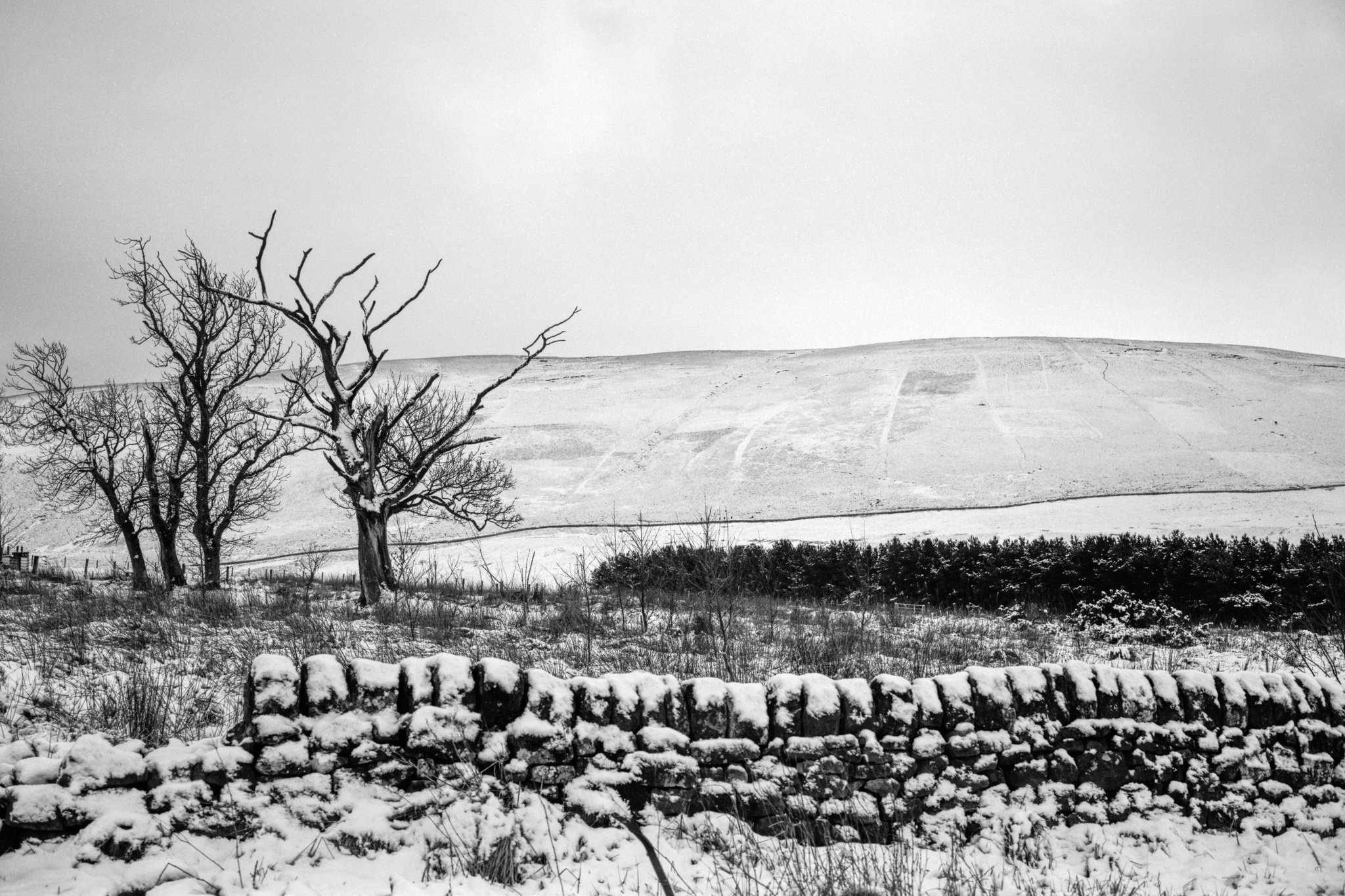 @BNRYNLDS FP4 is probably my most shot @ILFORDPhoto film. And not always during the #fp4party Winking face. So flexible and just lovely blacks. #ilfordphoto #fridayfavourites #shotonfp4