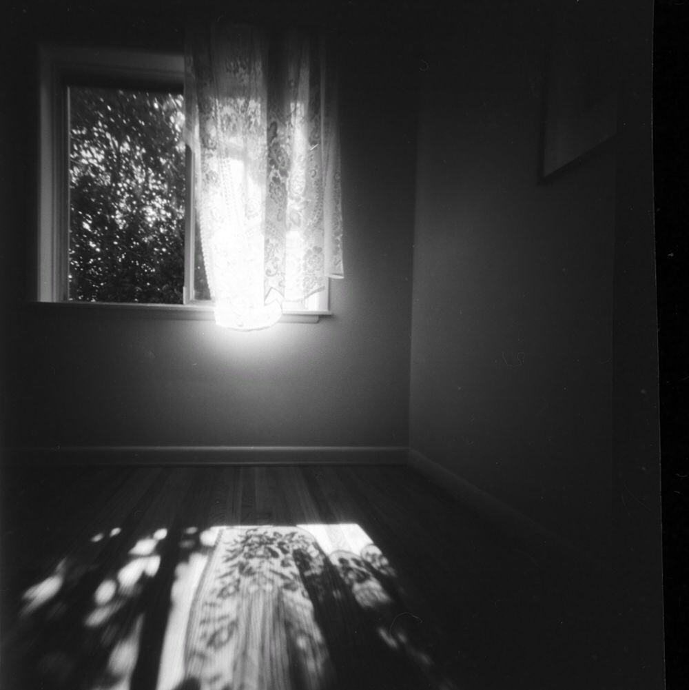 @DrMarsRover · Sep 22 Afternoon sun through my dining room window @ILFORDPhoto Delta 100 RSS 6x6 pinhole #ilfordphoto #fridayfavourites #overlooked