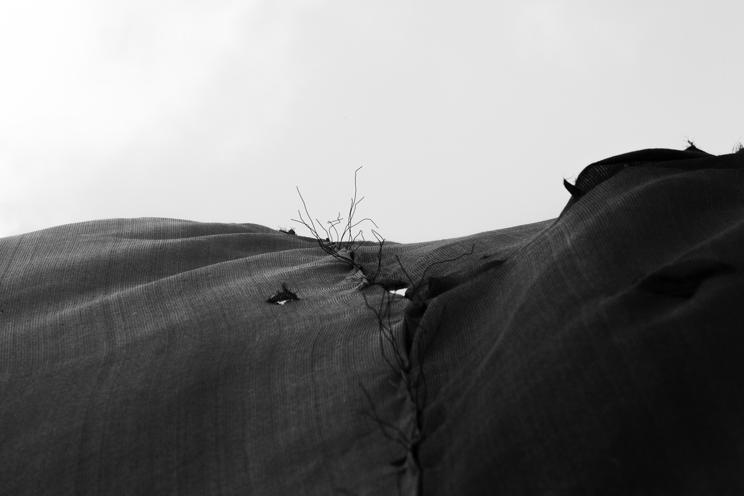 @HorShachor Replying to @ILFORDPhoto Safety webbing on scaffolding, at urban construction sites. All shot on HP5 35mm #ilfordphoto #fridayfavourites #overlooked