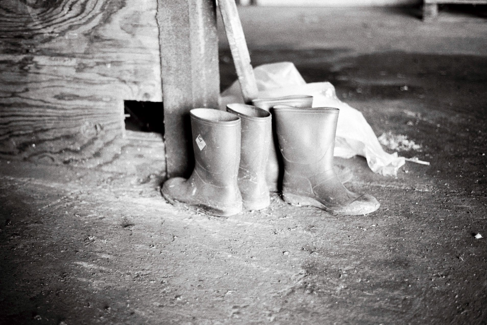 @henrycwh1500 Boots Olympus OM2n 50mm 1.8 @ILFORDPhoto fp4 #ilfordphoto #fridayfavourites #overlooked #shootfilmbenice #believeinfilm