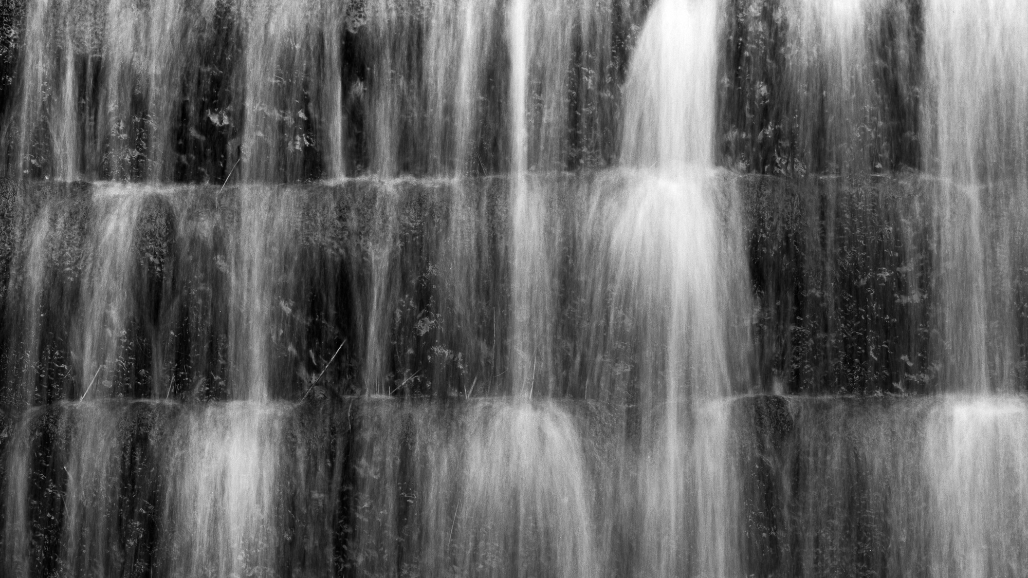 Water steps - Ilford Delta 100 4x5 - Chroma Camera