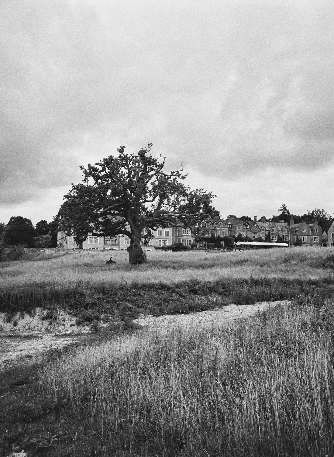 Black & white film photography by Sandeep Sumal SouthLodgeHotel_Sussex_HP5_FujiGA645