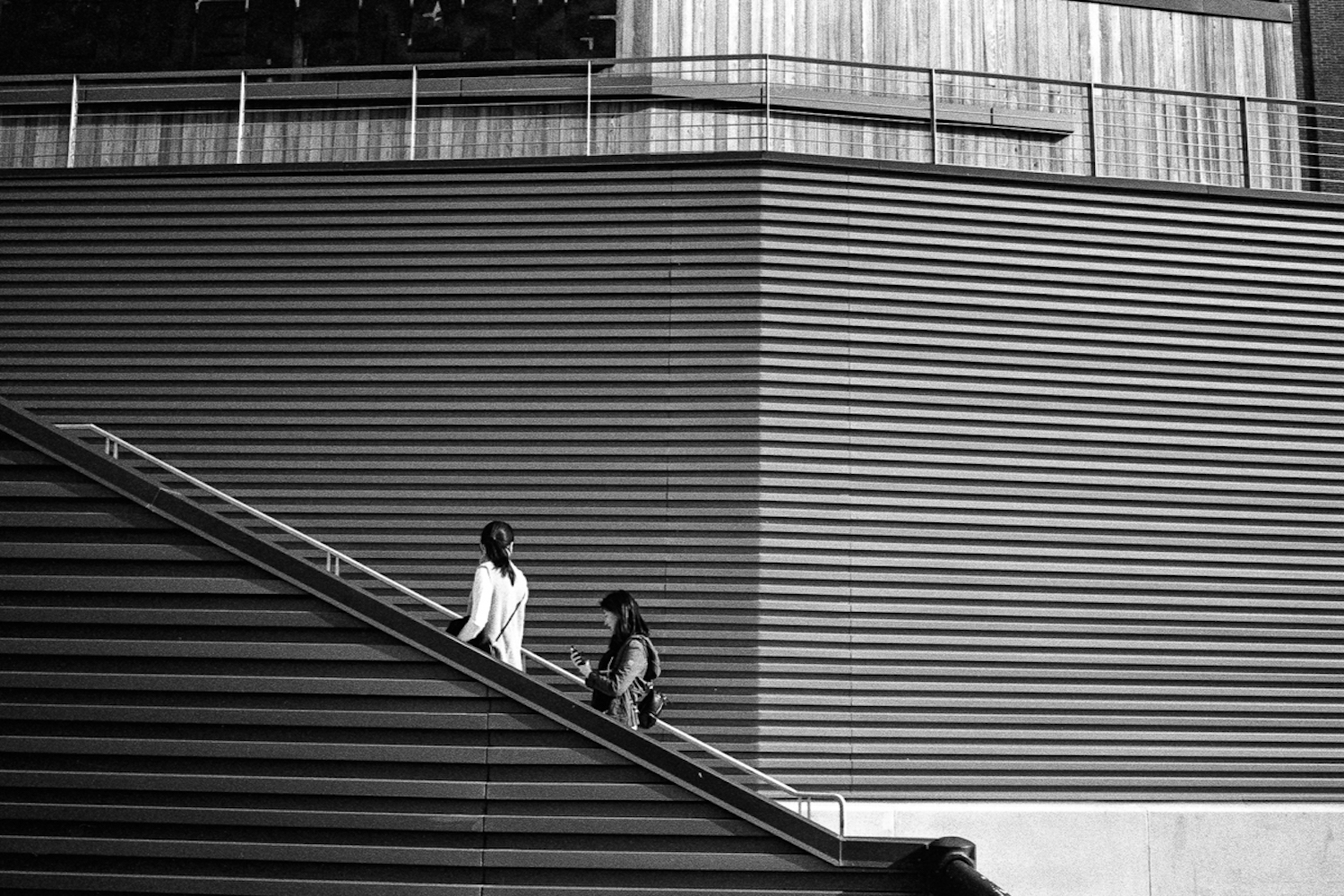 black and white film image by Boston emulsion