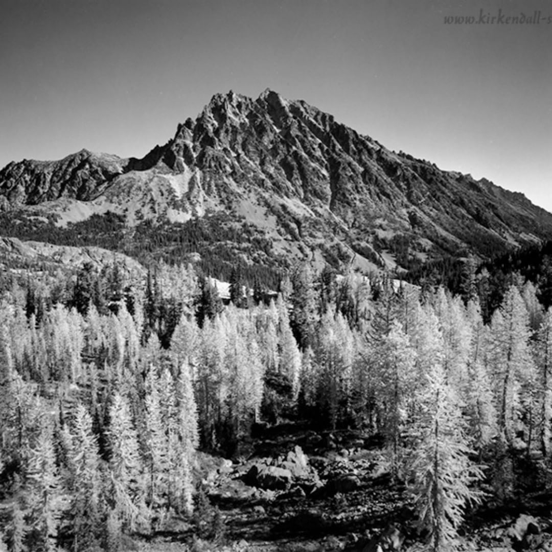  kirkendall_spring Mount Stuart with larch trees, Alpine Lakes Wilderness, Mount Baker Snoqualmie National Forest. 4x5 Ilford FP4+ Film #ilfordphoto #fridayfavourites #autumnonfilm #ilfordfp4 #ilfordfilm #blackandwhitephotography #balckandwhitephoto #film