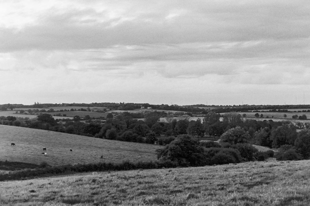  chris.coan.film Autumn on film for this weeks @ilfordphoto theme #autumnonfilm. Shot on #ilfordfp4 for #fridayfavourites.