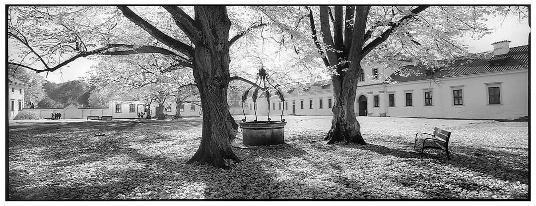 bnw_photopuzzles Sunny Saturday 2018 Hasselblad Xpan Ilford HP5 plus. . #ilfordphoto #fridayfavorites #lightonfilm #ilfordhp5 #selfdeveloped #ilford #bnw_magazine #bnw_legit #bnw_analog #biancoenero #bnw_city #bnw_creative_pictures #hasselbladxpan #xpan #hasselblad #kaunas #bnw_lightandshadows #bnw_greatshots #bnw_legit #noirlovers #bnw_atmosphere #noir_shots #mediumformat #bnw_lithuania #35mmfilm #heyfsc #incredible_bnw #bnw_users #bnw_zone #schwarzweissfotografie