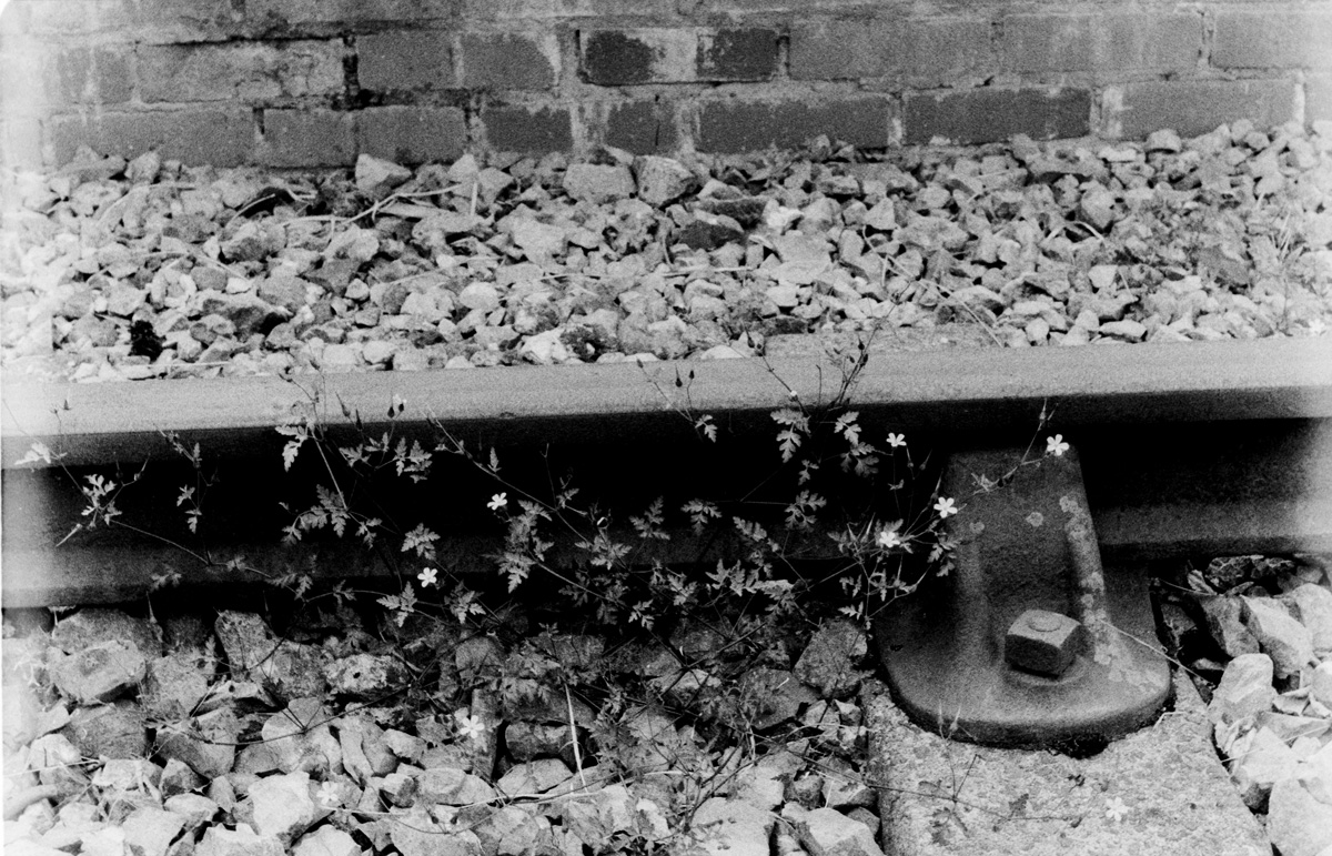 Kentmere400_OM1n_UnusedTracks