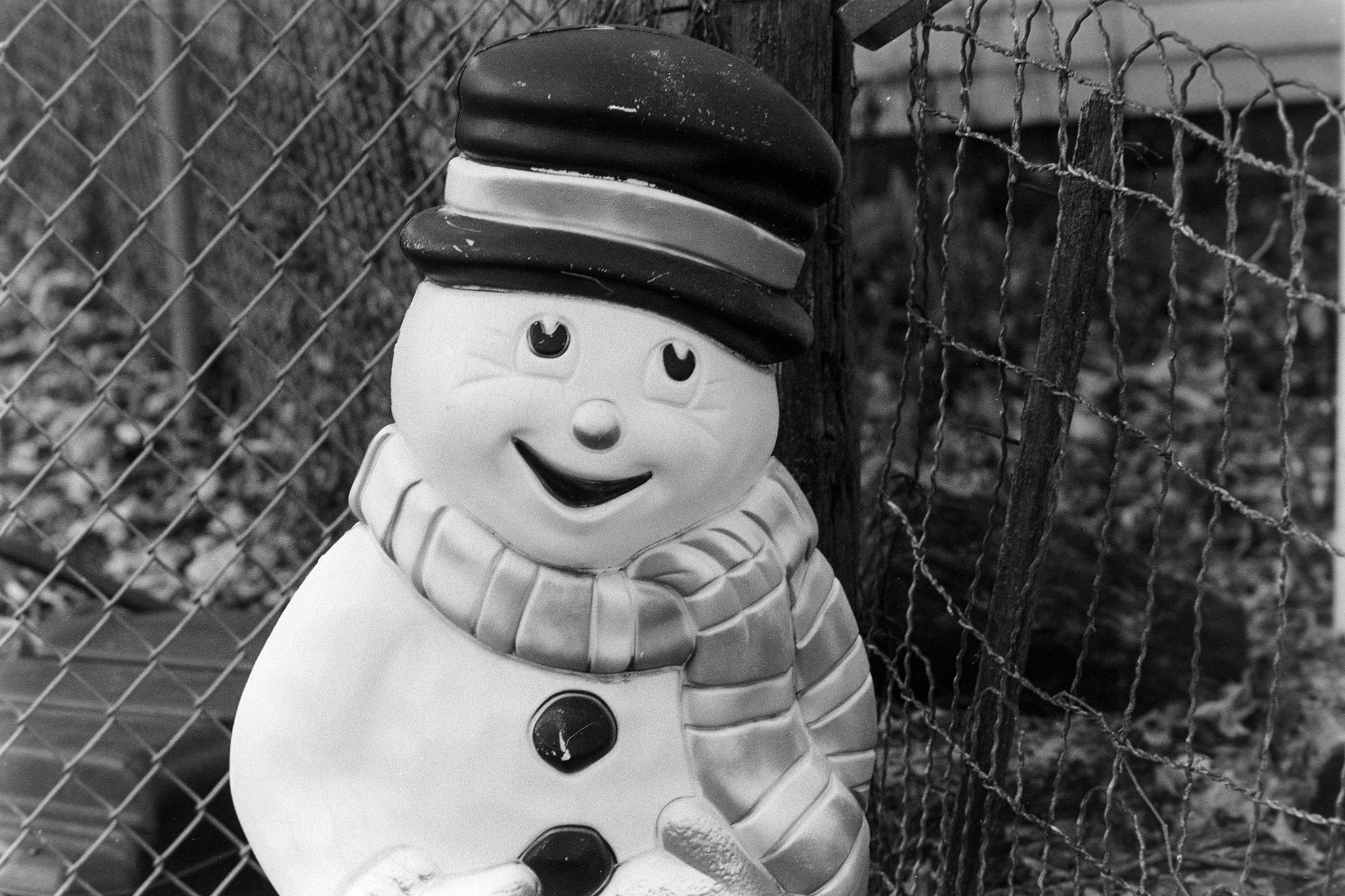 @r_endymion · 20h Replying to @ILFORDPhoto Snowman Nikon F4, Nikkor 85/1.8 AFD, Ilford Pan 50F+ expired 2015 EI 80 Diafine