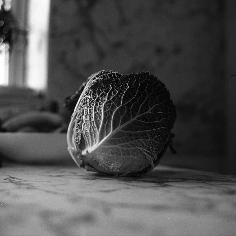  oggzilla The Humble Cabbage . 📷 Zenza Bronica EC 🎞️ Ilford HP5 Plus ⚗️ Ilford ID-11 . @ilfordphoto #IlfordPhoto #FridayFavourites #ShotInside #Ilford #IlfordHP5 #HP5Plus #HP5 #ID11 #IlfordID11 #Cabbage #Zenza #ZenzaBronica #Bronica #BronicaEC #Zenzanon #75mm #Zenzanon75mm #120 #MediumFormat #SquareFormat #6x6 #BlackandWhite #BlackandWhitePhotography #Contrast #Monochrome #Abstract #IndoorPhotography