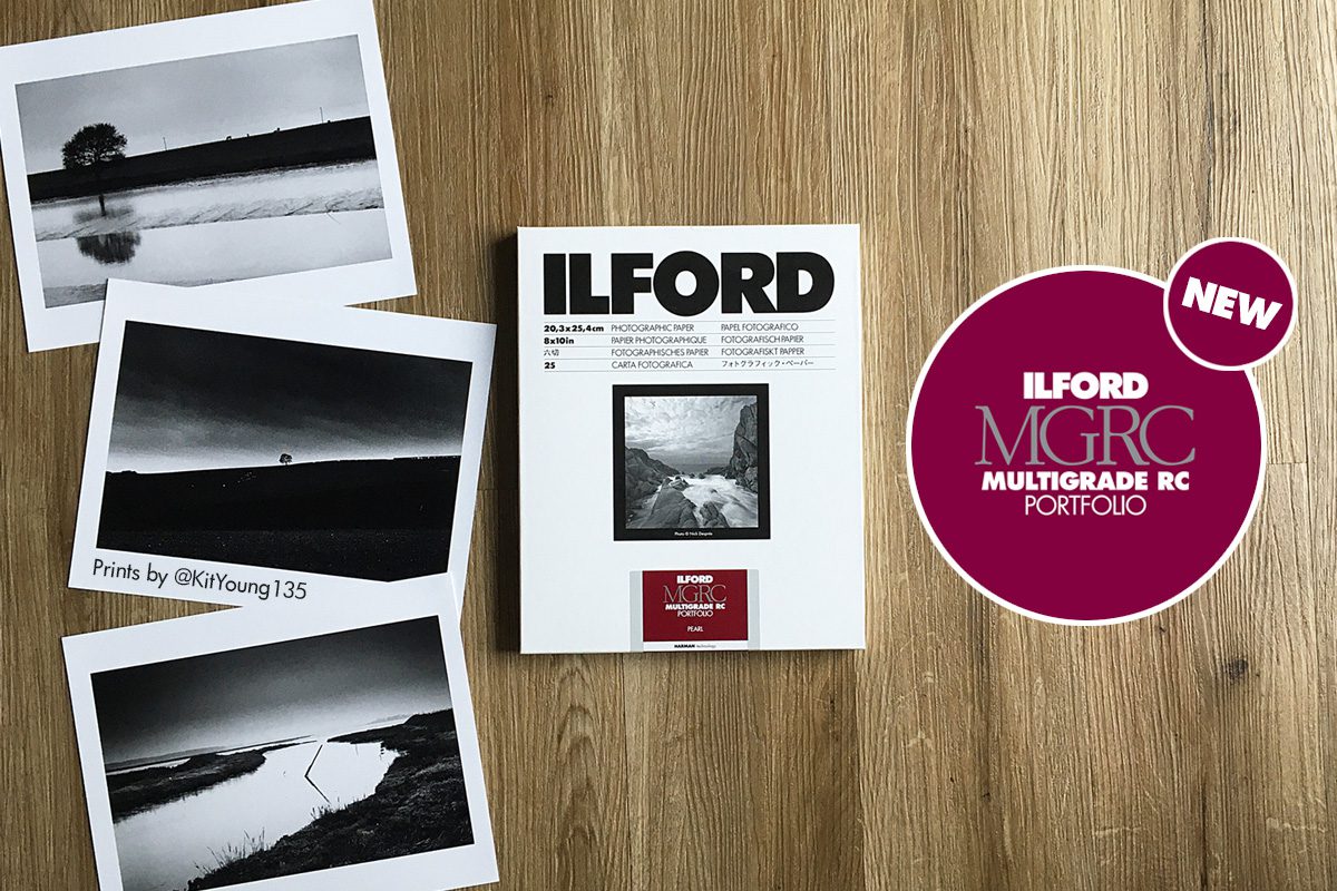ILFORD MULTIGRADE IV RC ポートフォリオ 100枚 未開封 New Ilford