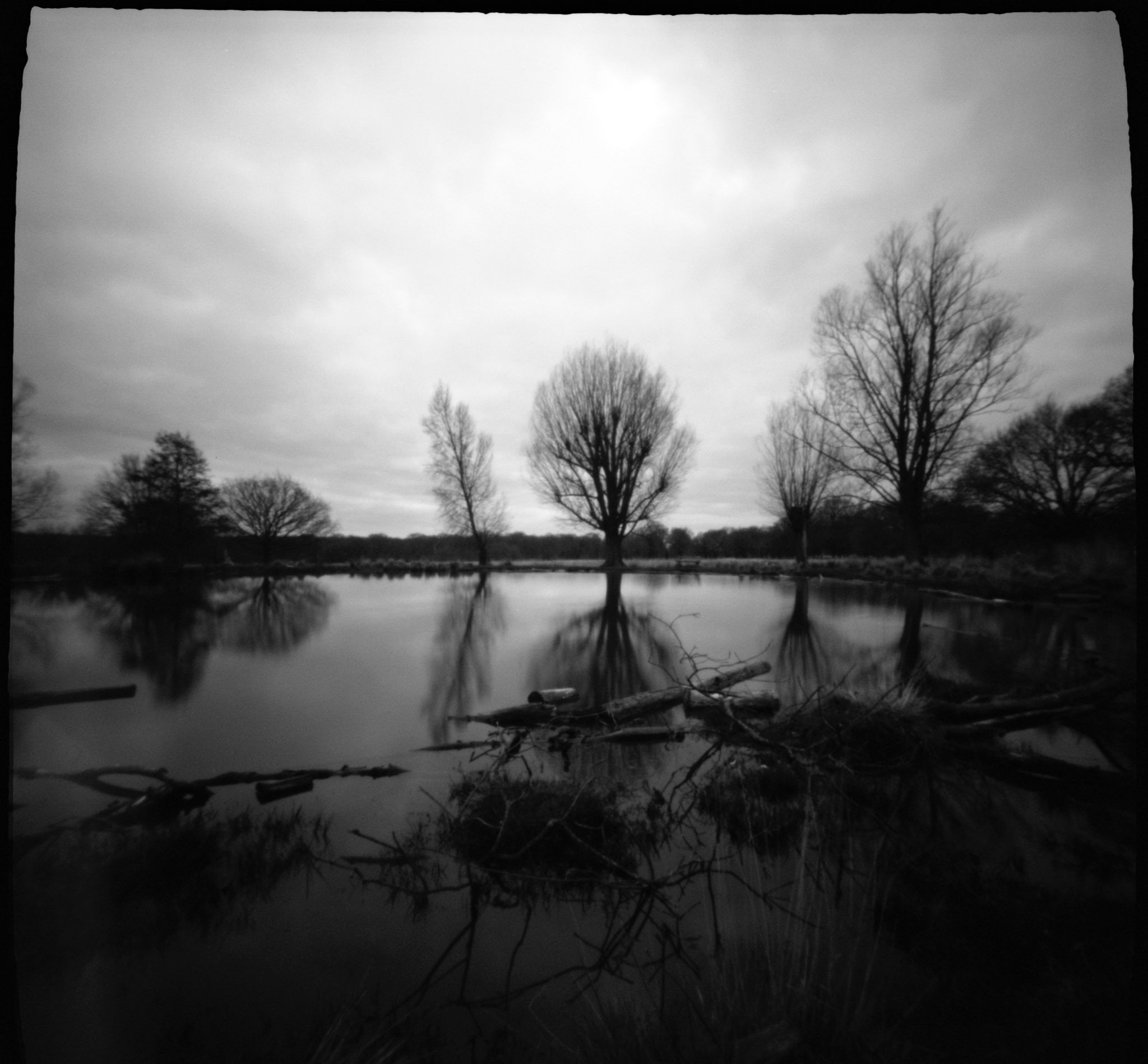 @DhutchPhot · Apr 28 #ffpinhole #fridayfavourites ZeroImage 2000 @ILFORDPhoto #Xp2Super Richmond Park pond.