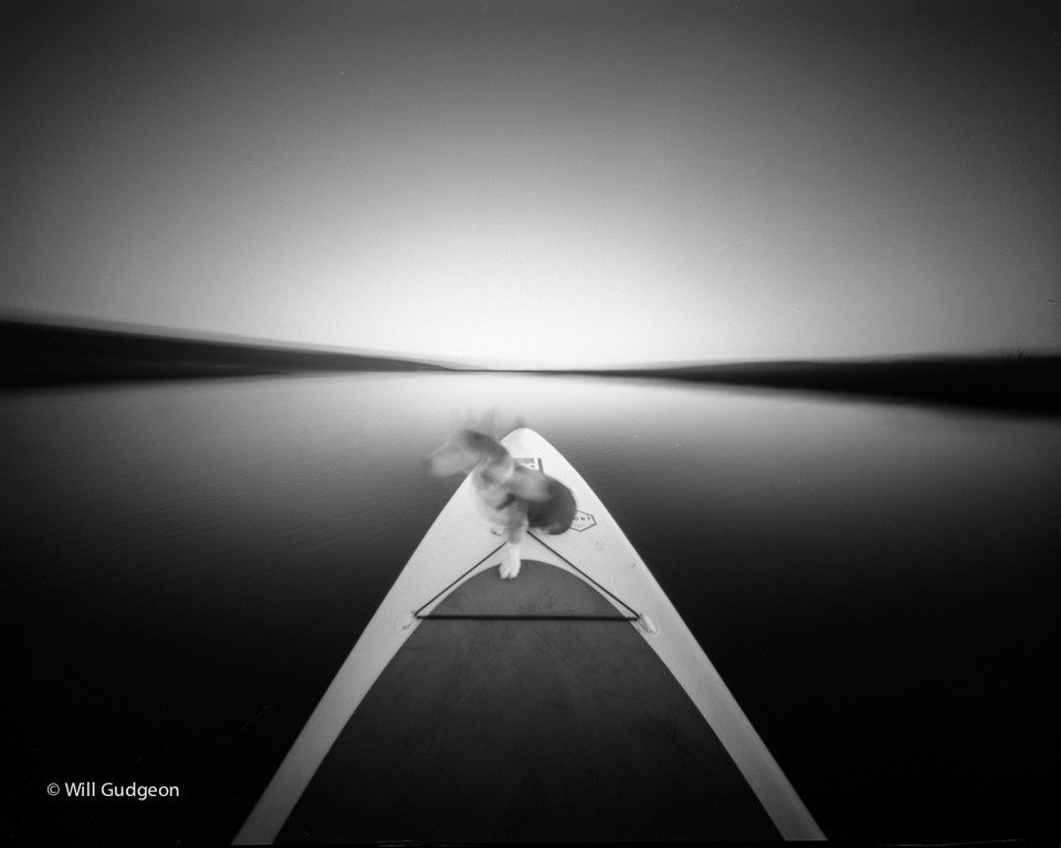 @willgudgeon · Apr 28 Paddle boarding with my dog Zero Image 4x5 IIlford Delta 100 https://youtube.com/watch?v=kC_oqt4SSSI #ilfordphoto #pinhole #fridayfavourites #ffpinhole @ILFORDPhoto