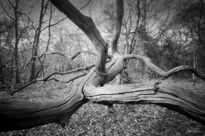 @paulasmithphoto · Apr 28 My favourite pinhole shot for #ilfordphoto #fridayfavourites #ffpinhole. Taken with the #Ondupinhole MF 6x9, on @ilfordphoto FP4+ EI 125 developed Ilfotec HC 1+31.