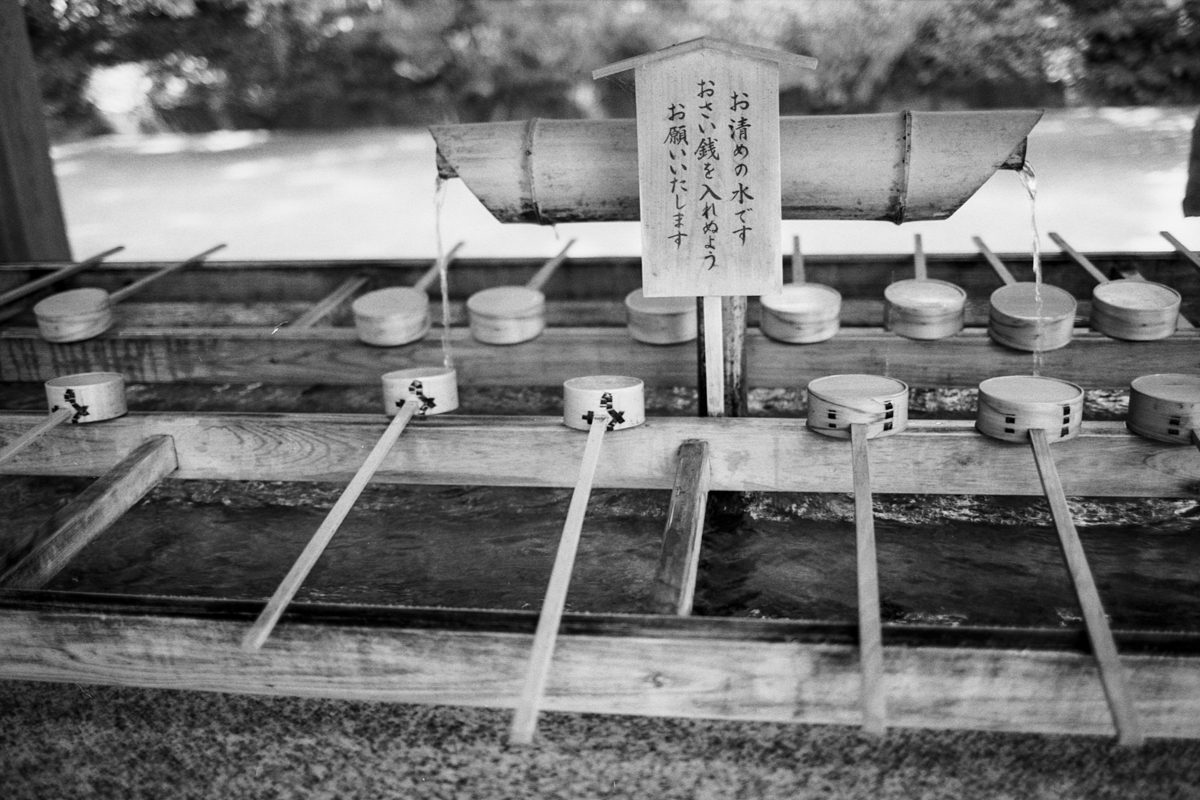 @adiw1202 · 16h Replying to @ILFORDPhoto Meiji Jingu #Ilford Delta 100 with #Canon EOS-3 #worshipfilm #ilfordphoto #fridayfavourites