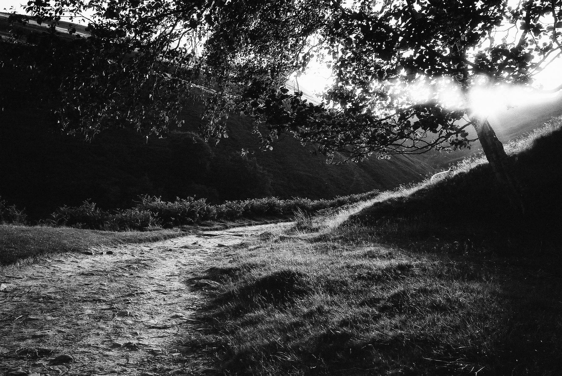 @fejling · Jun 23 The B&W (FP4+) photo taken near Edale late one sunny afternoon. The colour photo taken on a very sunny day in Scarborough (do the rules allow non-ilford film?!). Both taken using Leica MP… #sunnyfilm #ilfordphoto #fridayfavourites