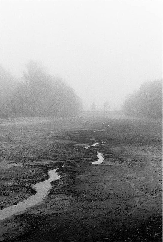  karpfenland #ilfordphoto #fridayfavourites #wateronfilm #ilforddelta3200 #karpfenland #aischgrund #35mm #analog #meinfilmlab #filmisnotdead