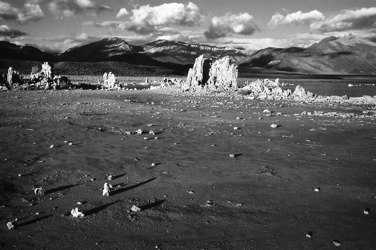 @Treed1961 From a few years back. FP4+ in a Canon A1 with 28mm. @ILFORDPhoto #fridayfavourites #alienfilm