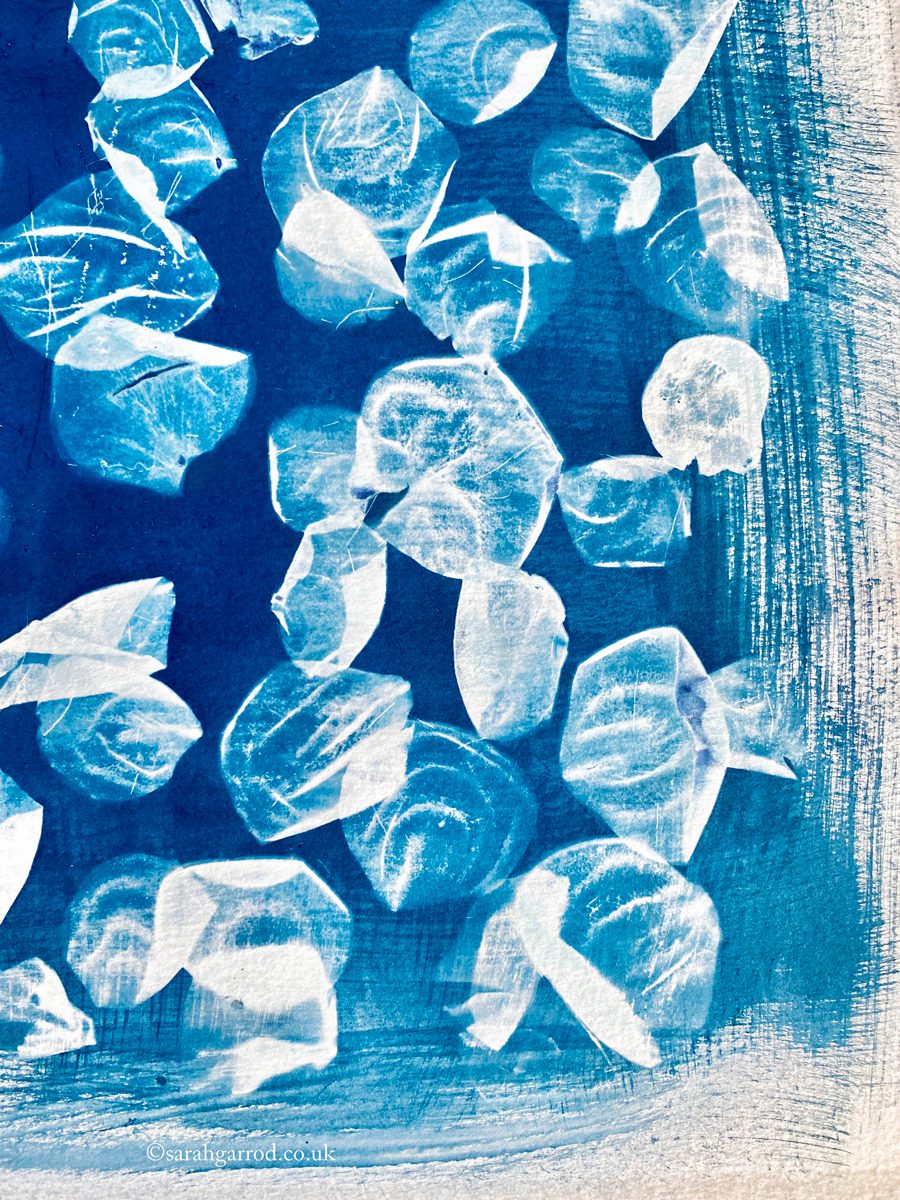 Cyanotype 