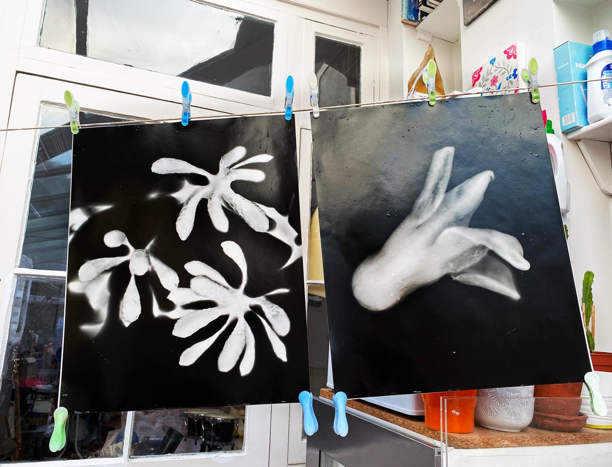 Cameraless Photos Drying (Ilford Warm Tone Gloss Fibre 16x24") Becoming the Camera - Thoughts on Photograms