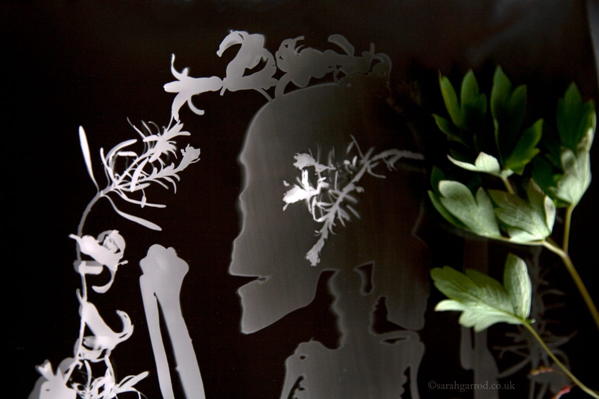 Detail of photogram